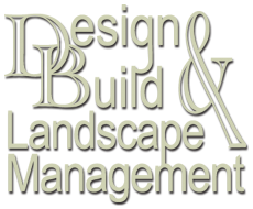 Design Build Landscaping