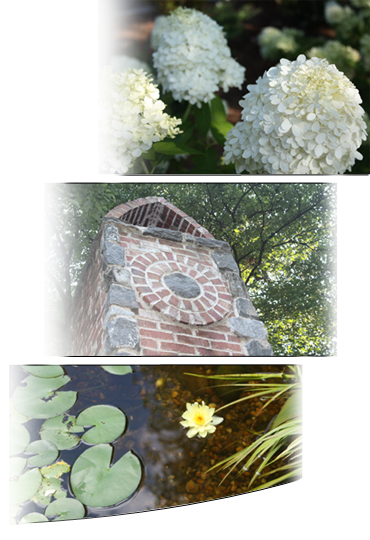 Design Builder and Landscape Management