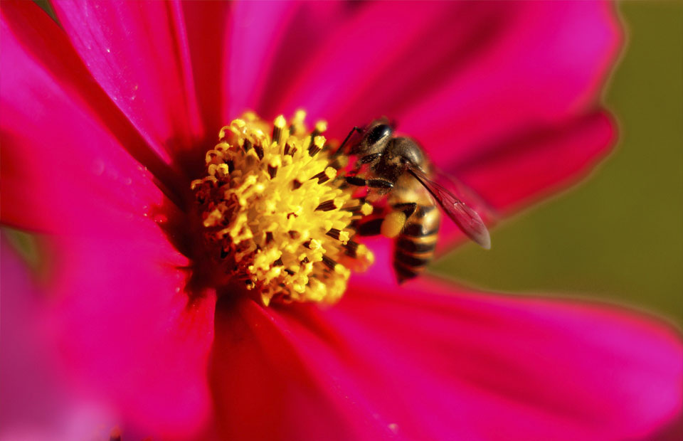 landscape architect atlanta ga