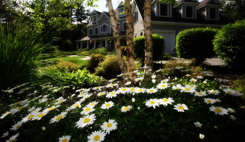 landscape design Atlanta GA