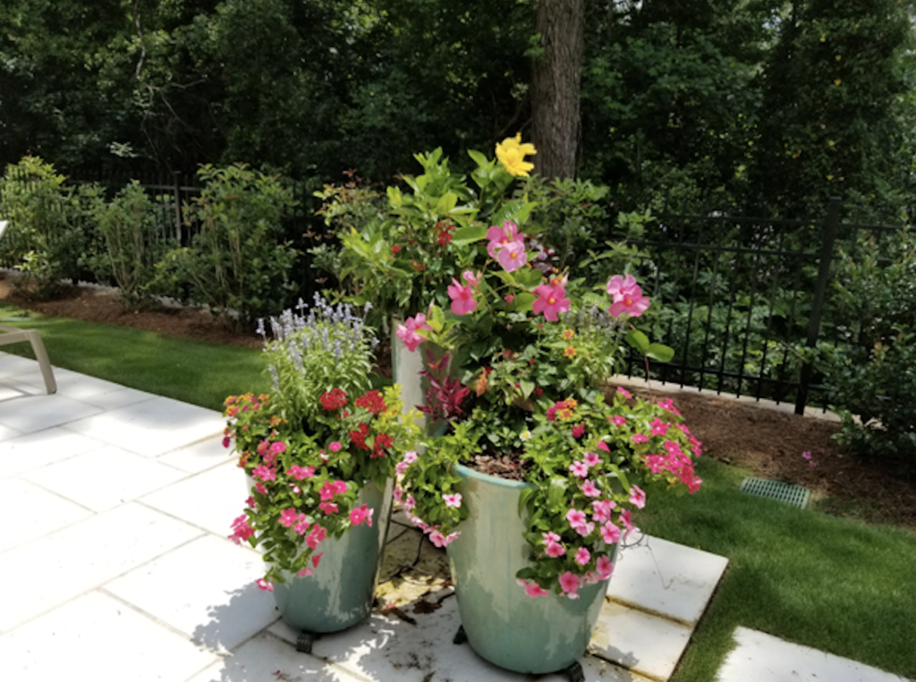 container flower planting tips