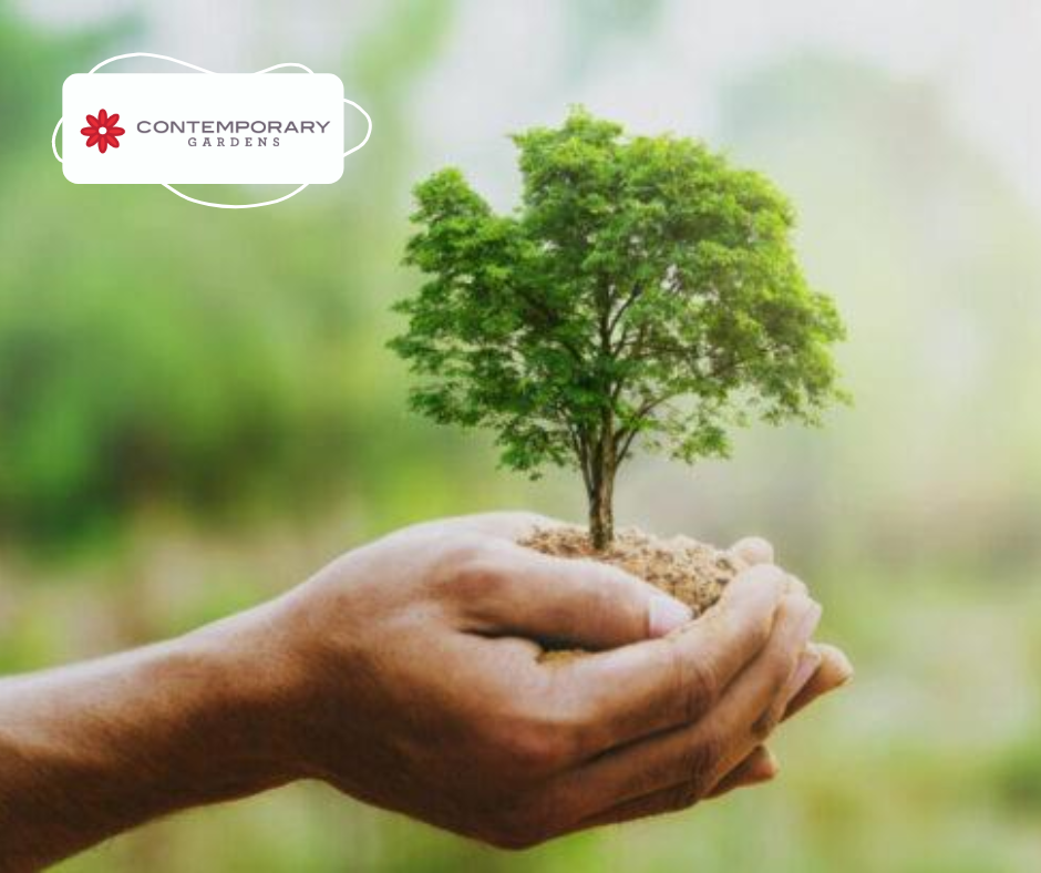 Grow Healthy, Live Healthy with Plant Health Care by Contemporary Gardens